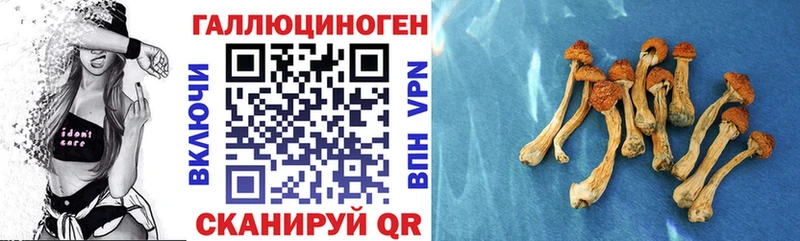 Купить где  Усмань  Галлюциногенные грибы GOLDEN TEACHER 